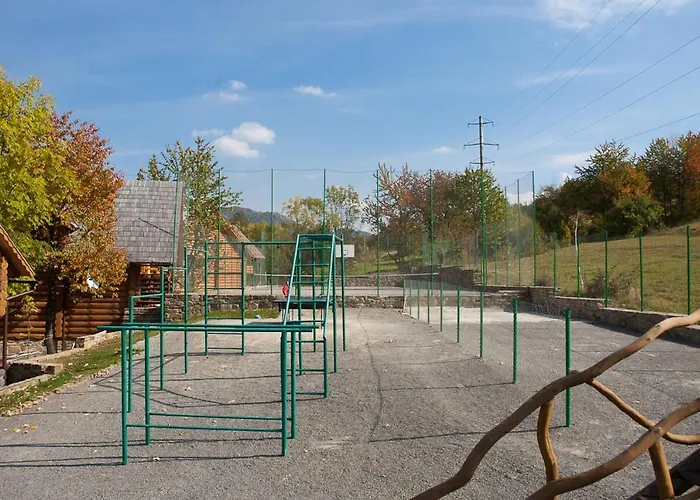 новий сезон Vyška